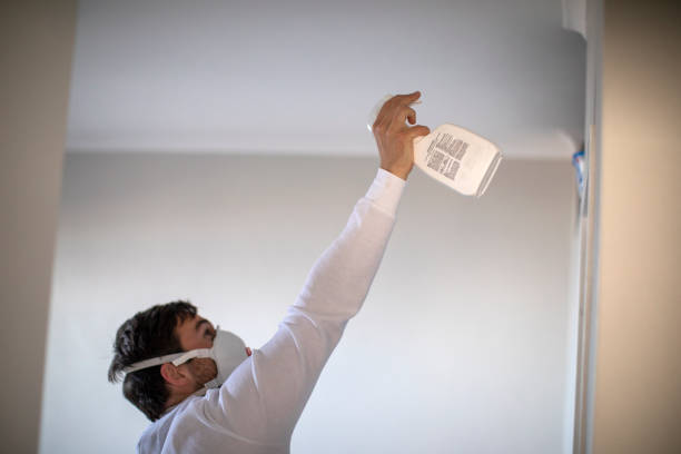 Best Black Mold Remediation in Lewisburg, OH