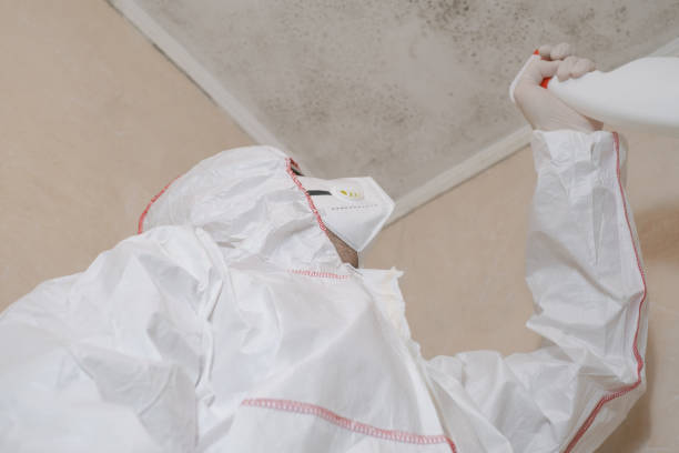 Best Emergency Mold Remediation in Lewisburg, OH